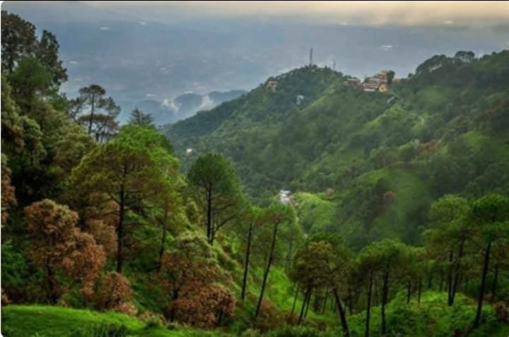 Kasauli Hills View